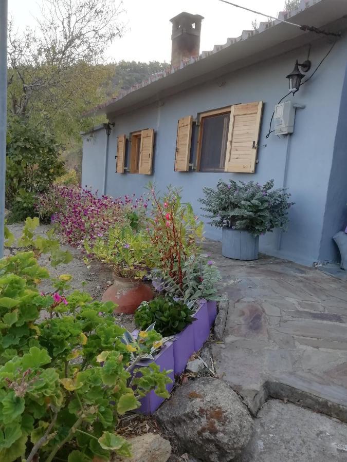 Myrovolos Vila Armenistis  Exterior foto